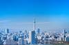 東京都のトランクルーム市場分析