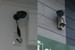 小田急相模原、相模大野、相武台、座間、東林間エリアのトランクルームクローゼット24 監視カメラは、屋内と屋外の２機を設置。